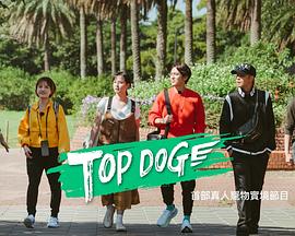 国产吃瓜黑料《TOP DOG》免费在线观看