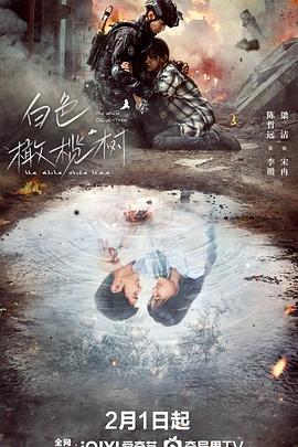 国产吃瓜黑料一区二区《白色橄榄树》免费在线观看