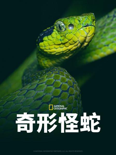 国产吃瓜黑料一区二区《奇形怪蛇》免费在线观看